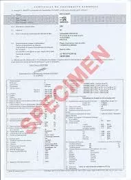 Attestation d’identification nationale Peugeot